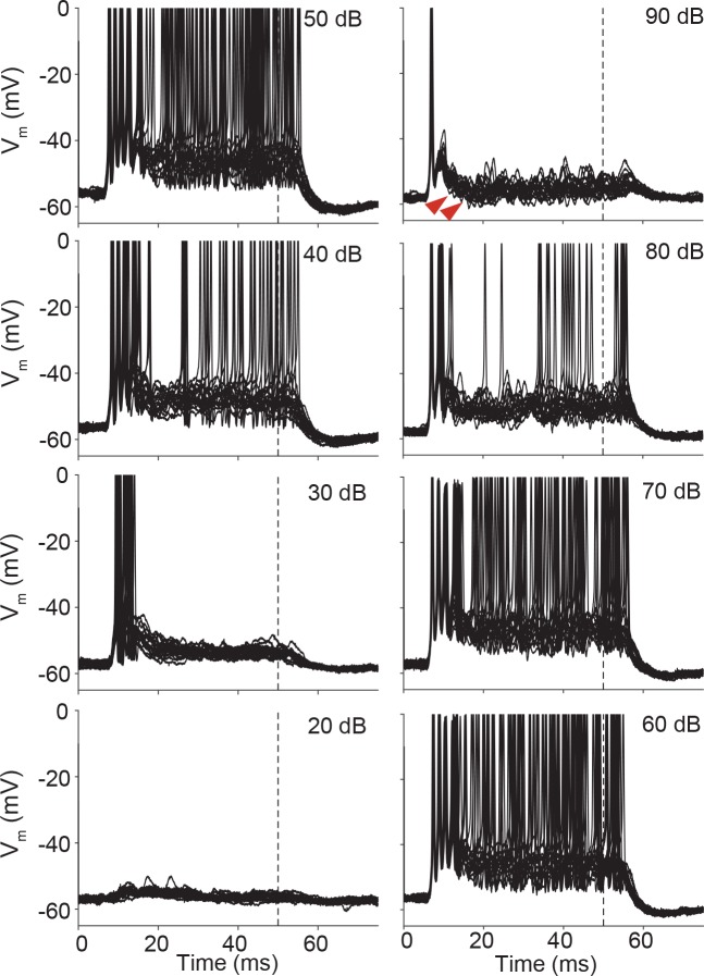 Figure 7—figure supplement 2.