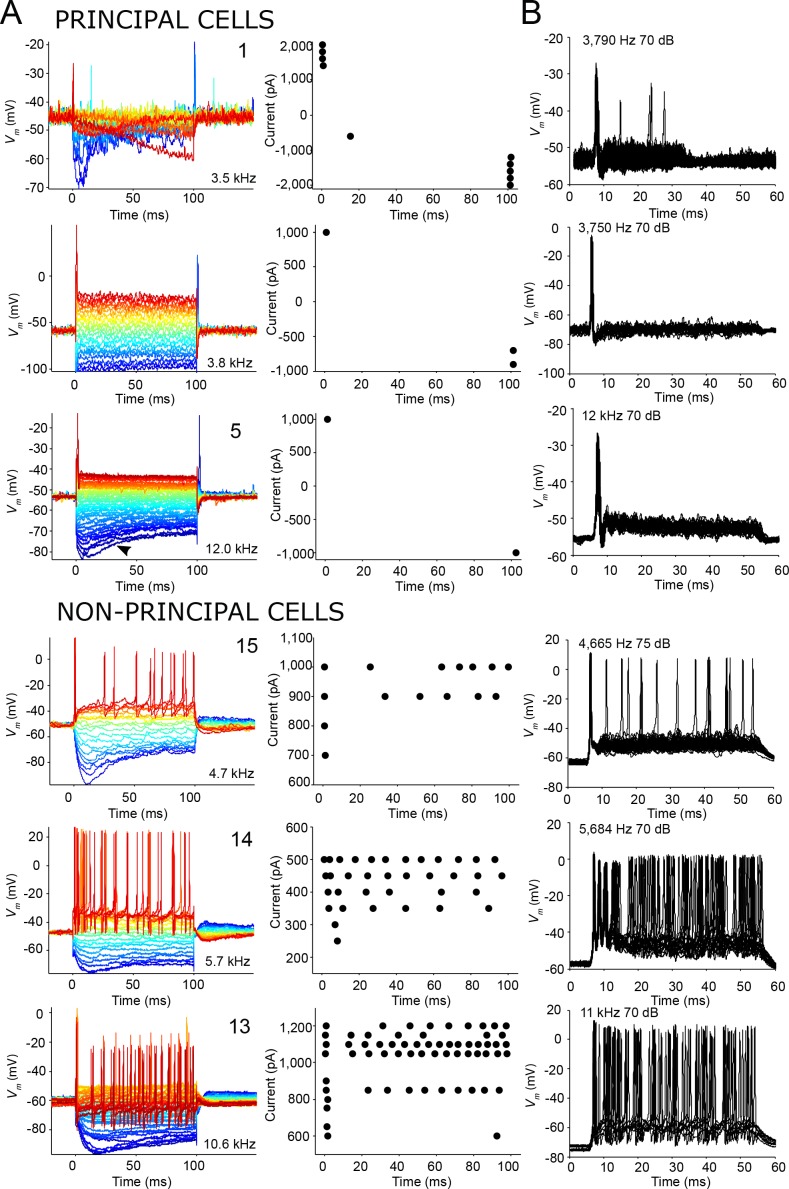 Figure 6.