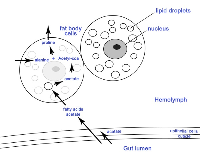 Figure 2—figure supplement 3.