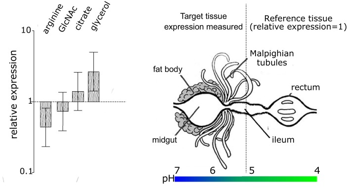 Figure 4—figure supplement 1.