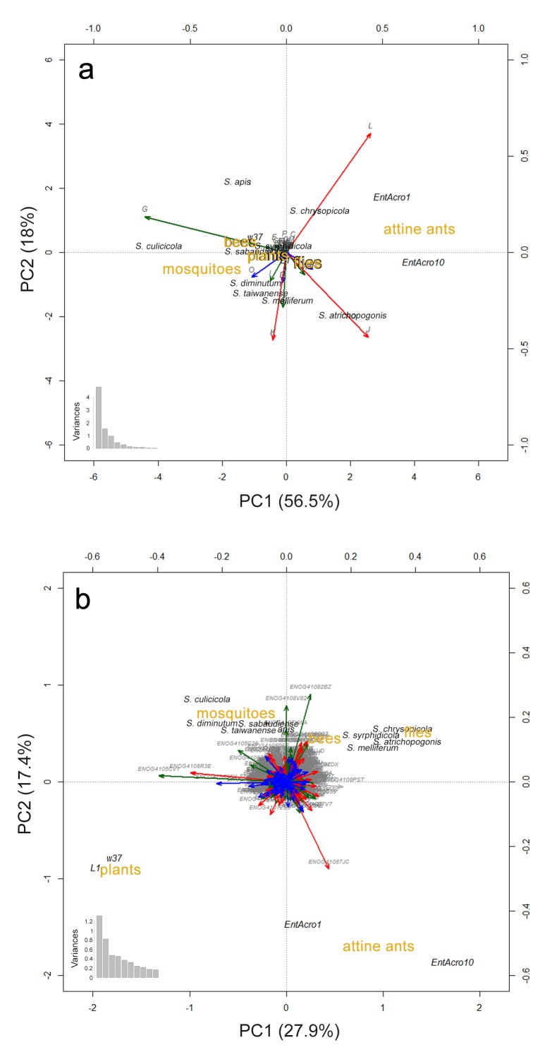 Figure 1—figure supplement 3.