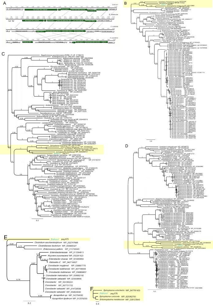 Figure 2—figure supplement 1.