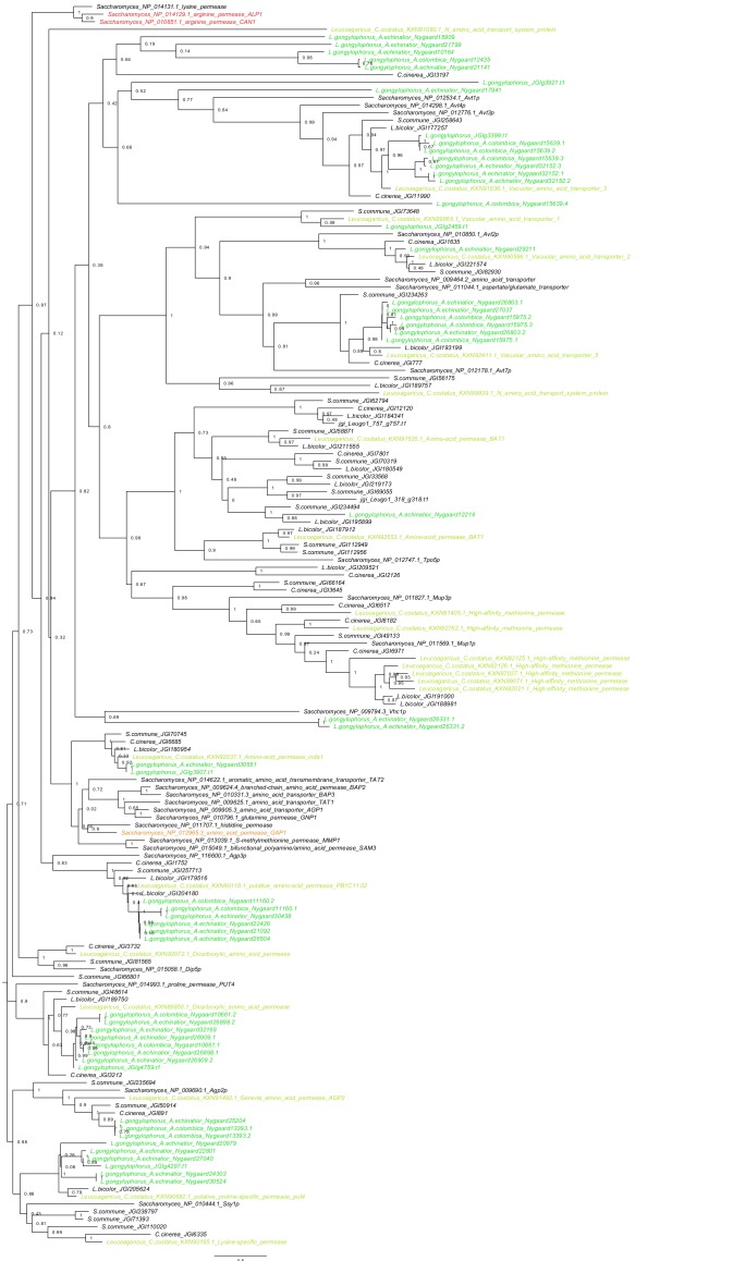 Figure 5—figure supplement 1.