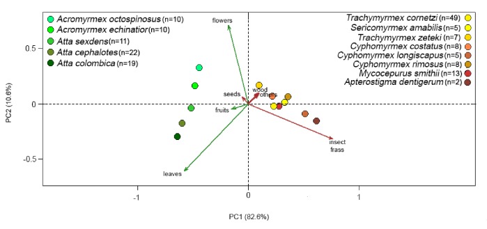 Figure 3—figure supplement 1.