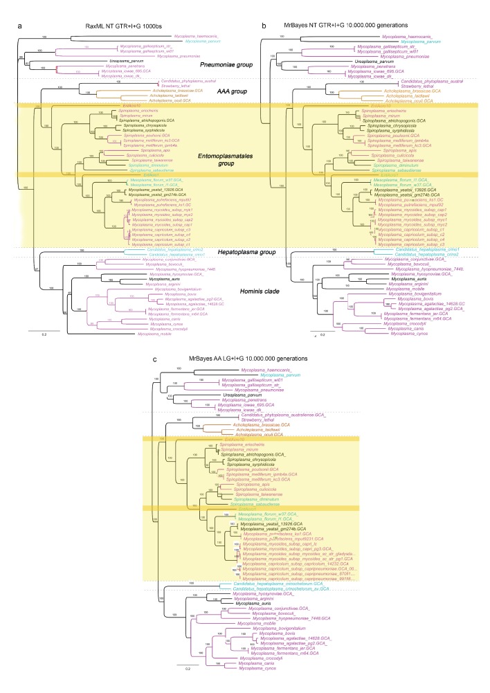 Figure 1—figure supplement 2.