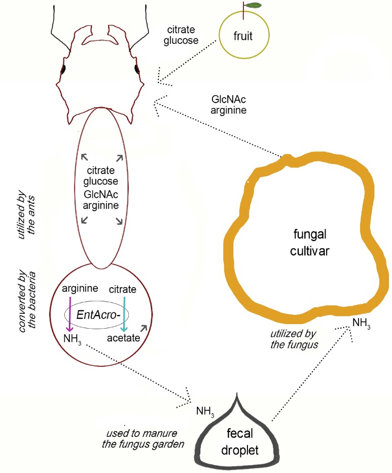 Figure 5—figure supplement 3.