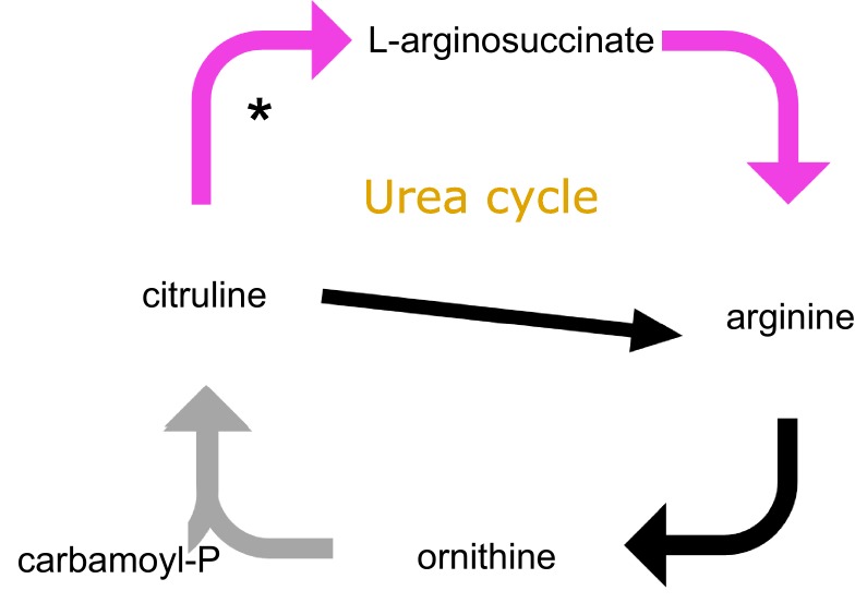 Figure 5—figure supplement 2.