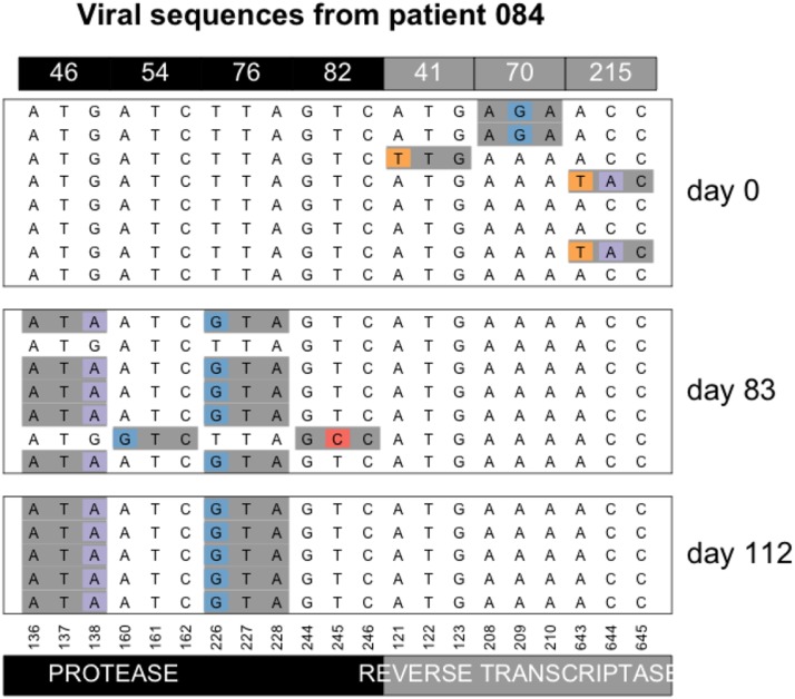 Figure 10