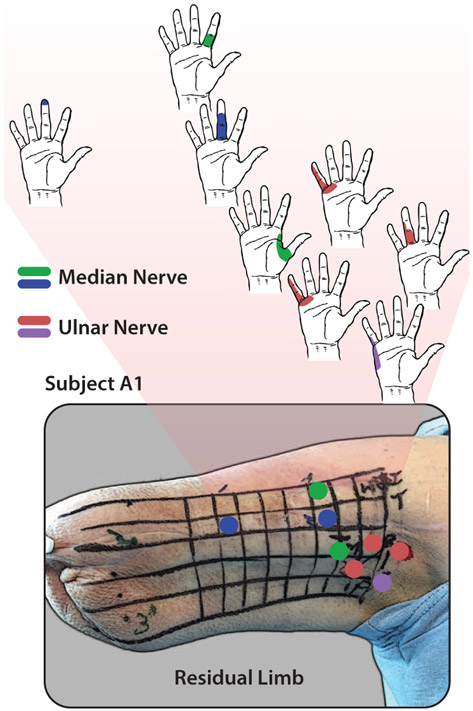 Figure 2.