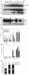 FIG. 6