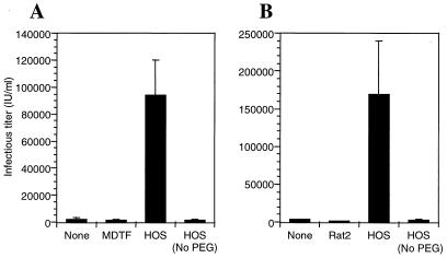 FIG. 7