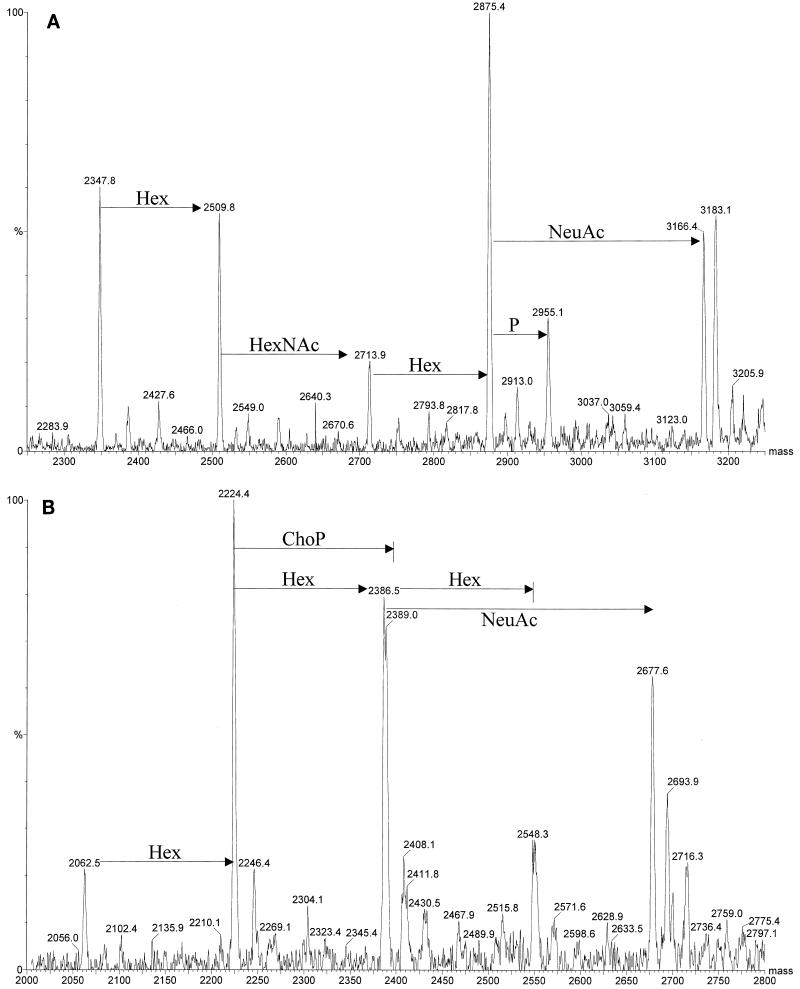 FIG. 3.