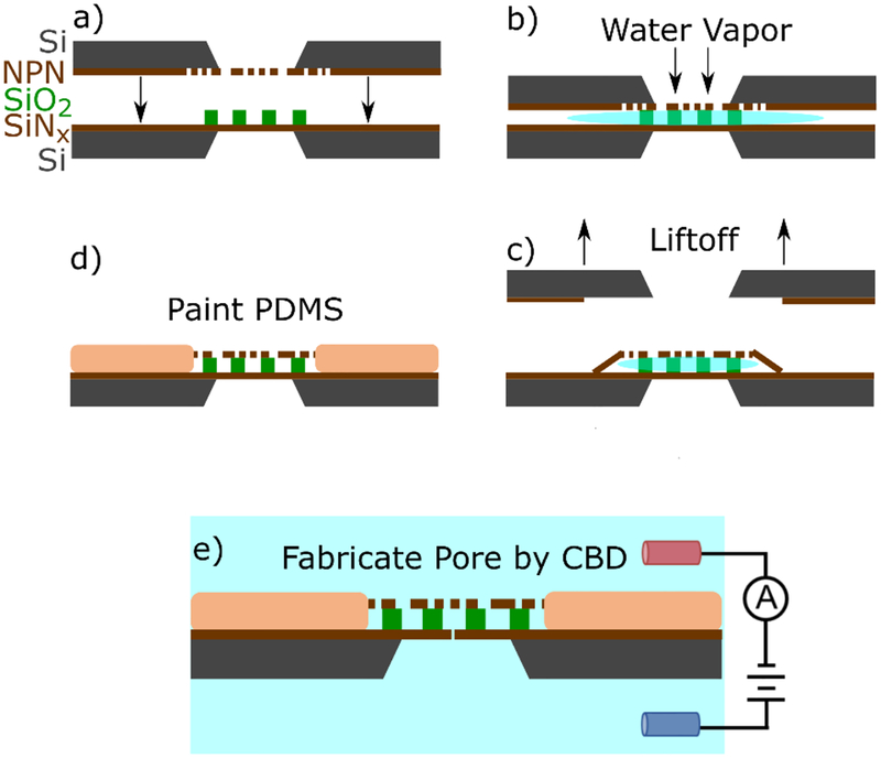 Figure 1: