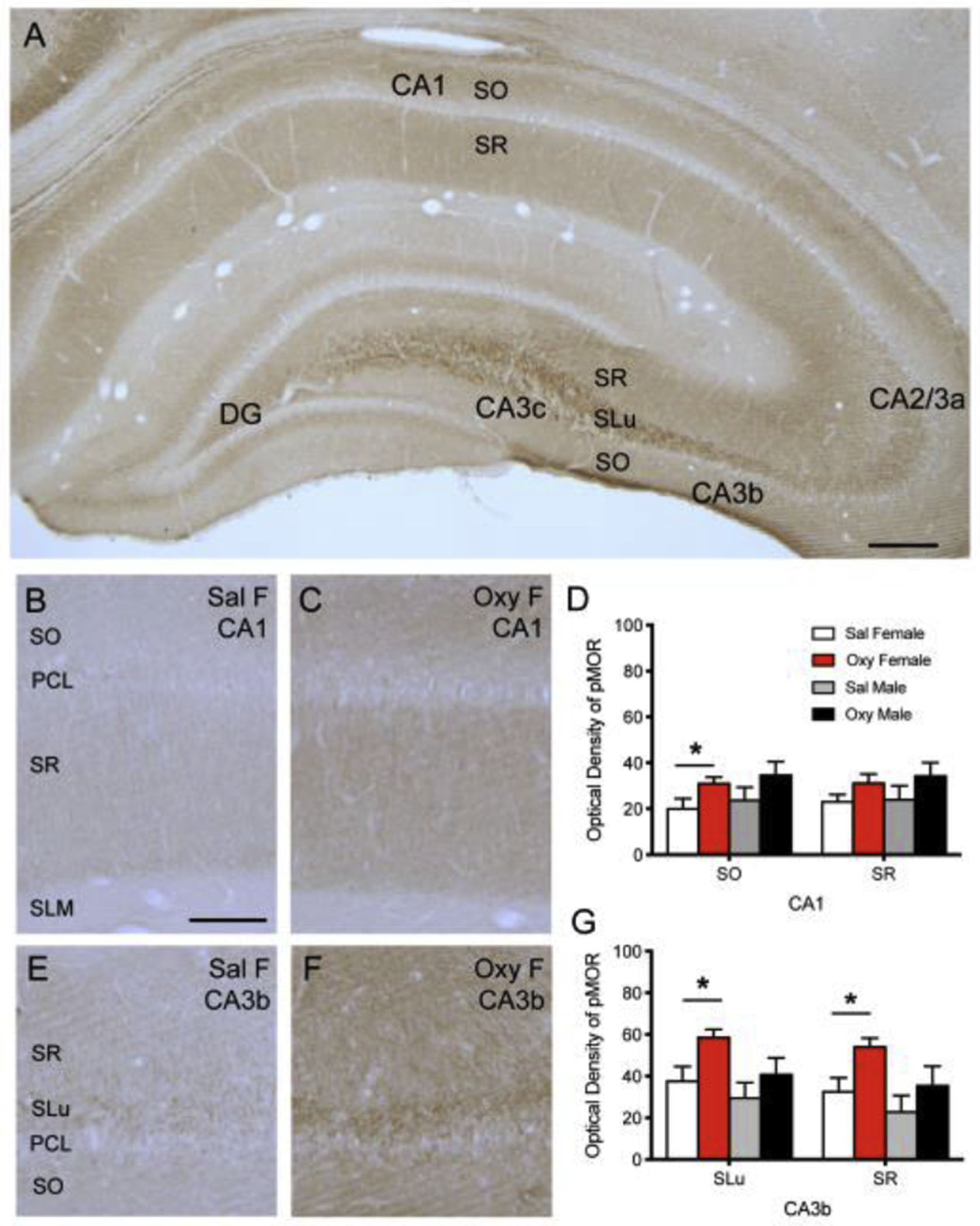 Fig 1: