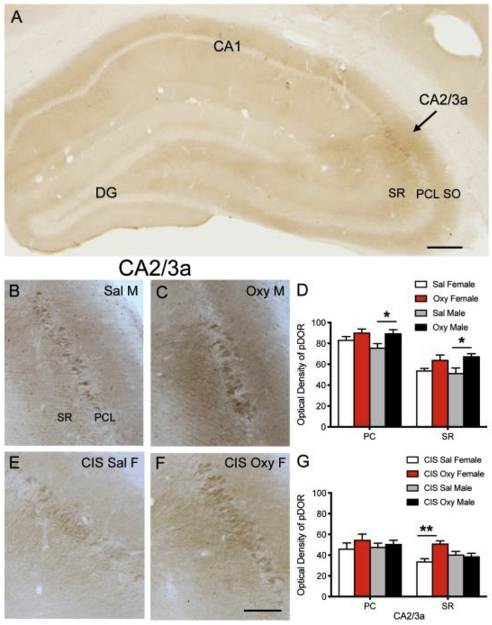 Fig 2: