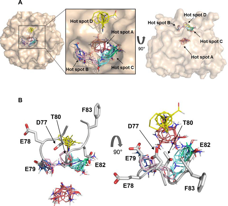 Figure 6.