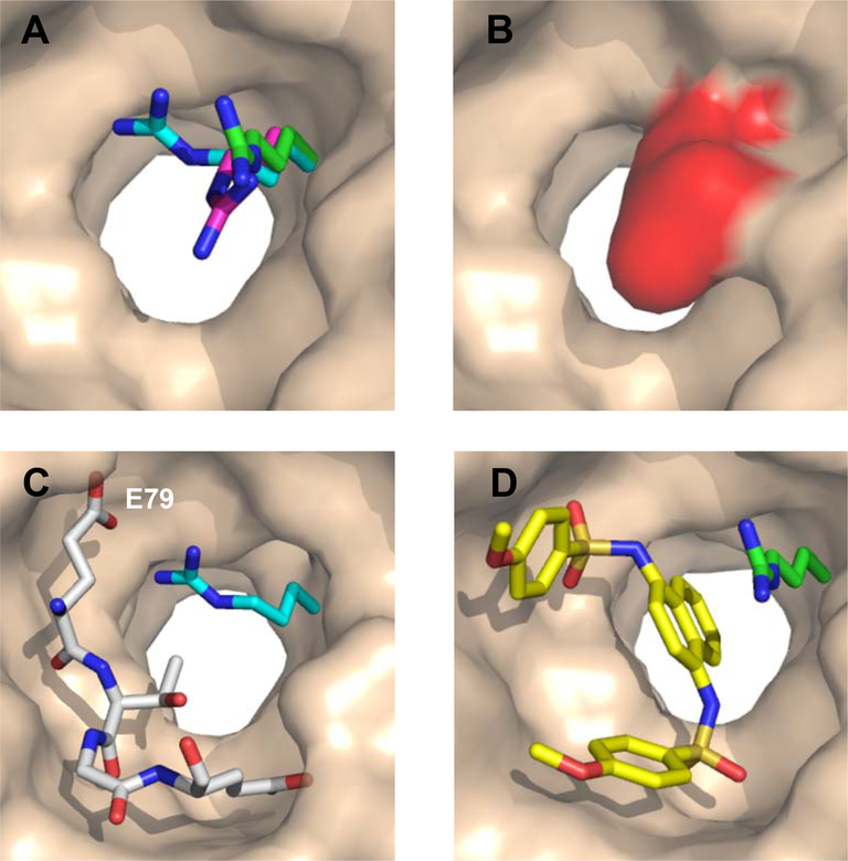 Figure 7.