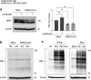 FIG 3