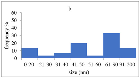 graphic file with name pharmaceutics-15-02471-i003.jpg