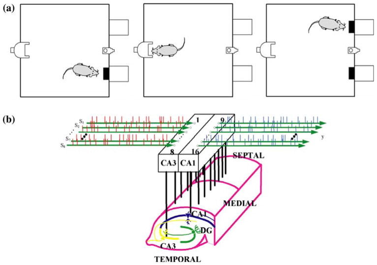 FIGURE 1