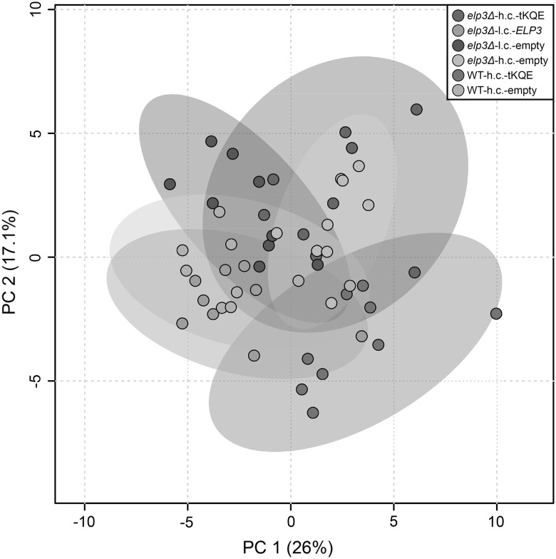 Fig. 2