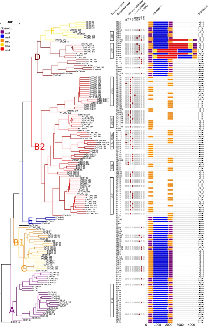 FIG 1