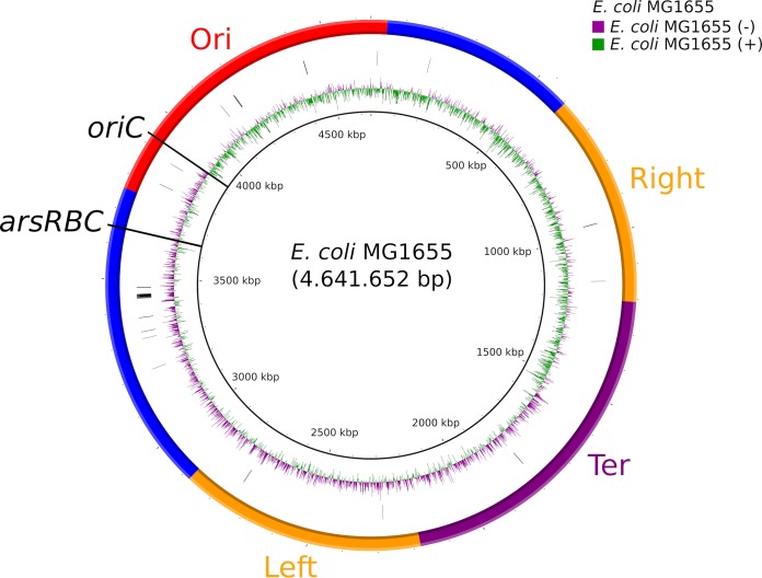 FIG 2