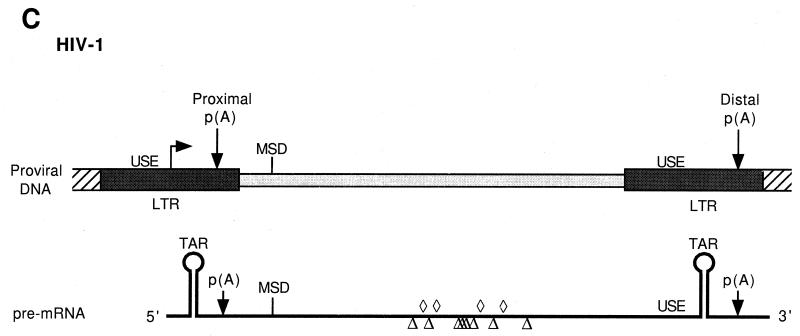 FIG. 10