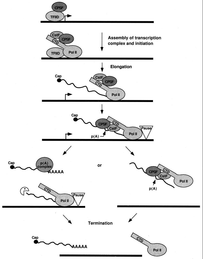 FIG. 6