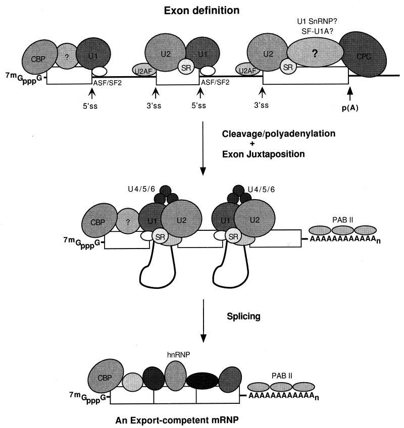 FIG. 7