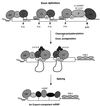 FIG. 7