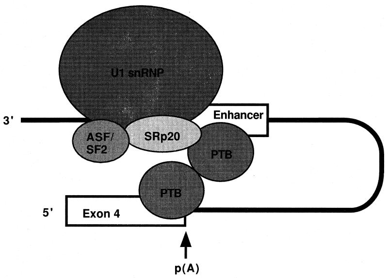 FIG. 8