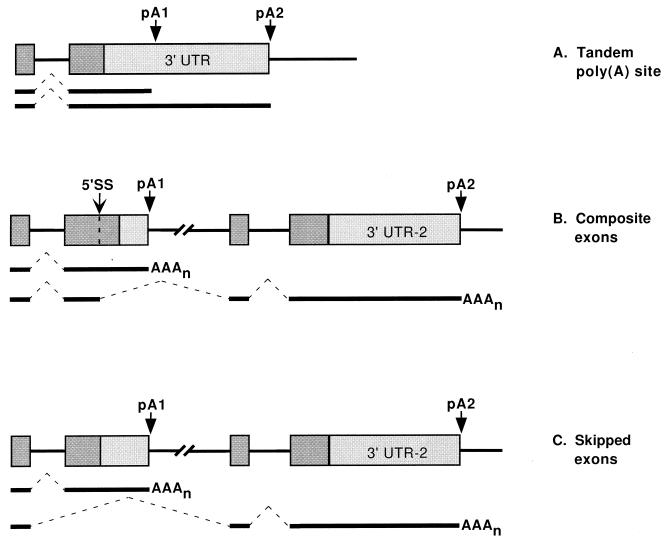 FIG. 9