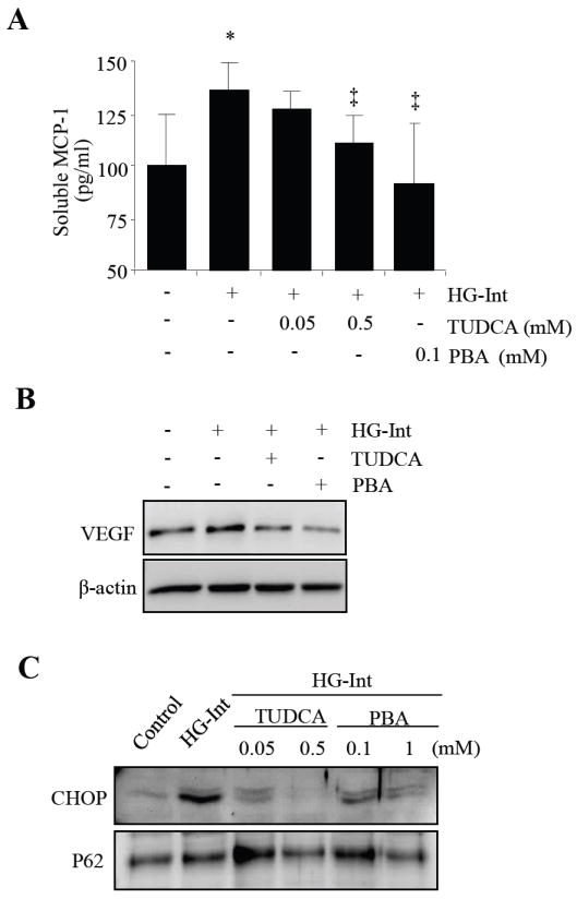 Fig. XX.2