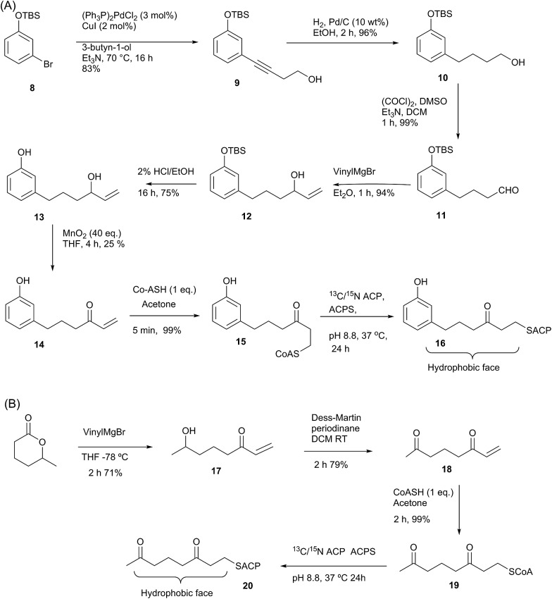 Scheme 2