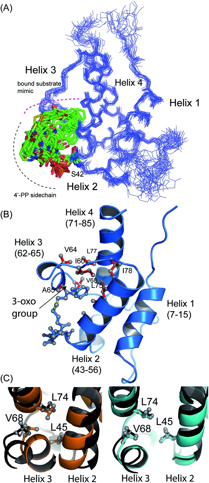 Fig. 3