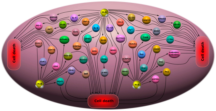 Figure 10