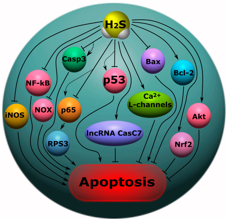 Figure 7