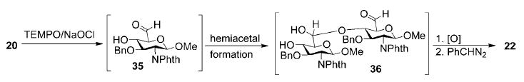 Scheme 2