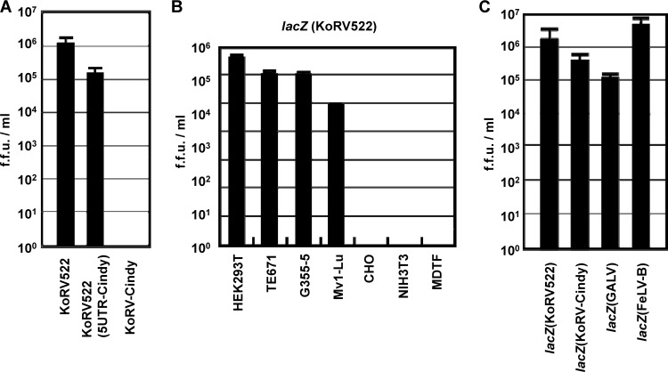 Fig 5