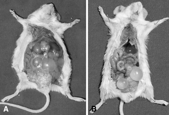 Fig. 1