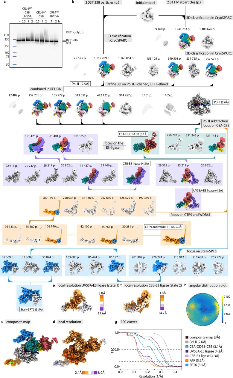 Extended Data Fig. 9