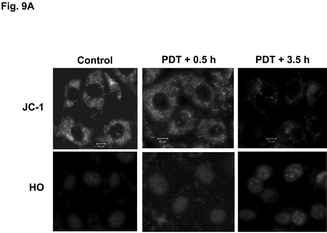 Fig. 9