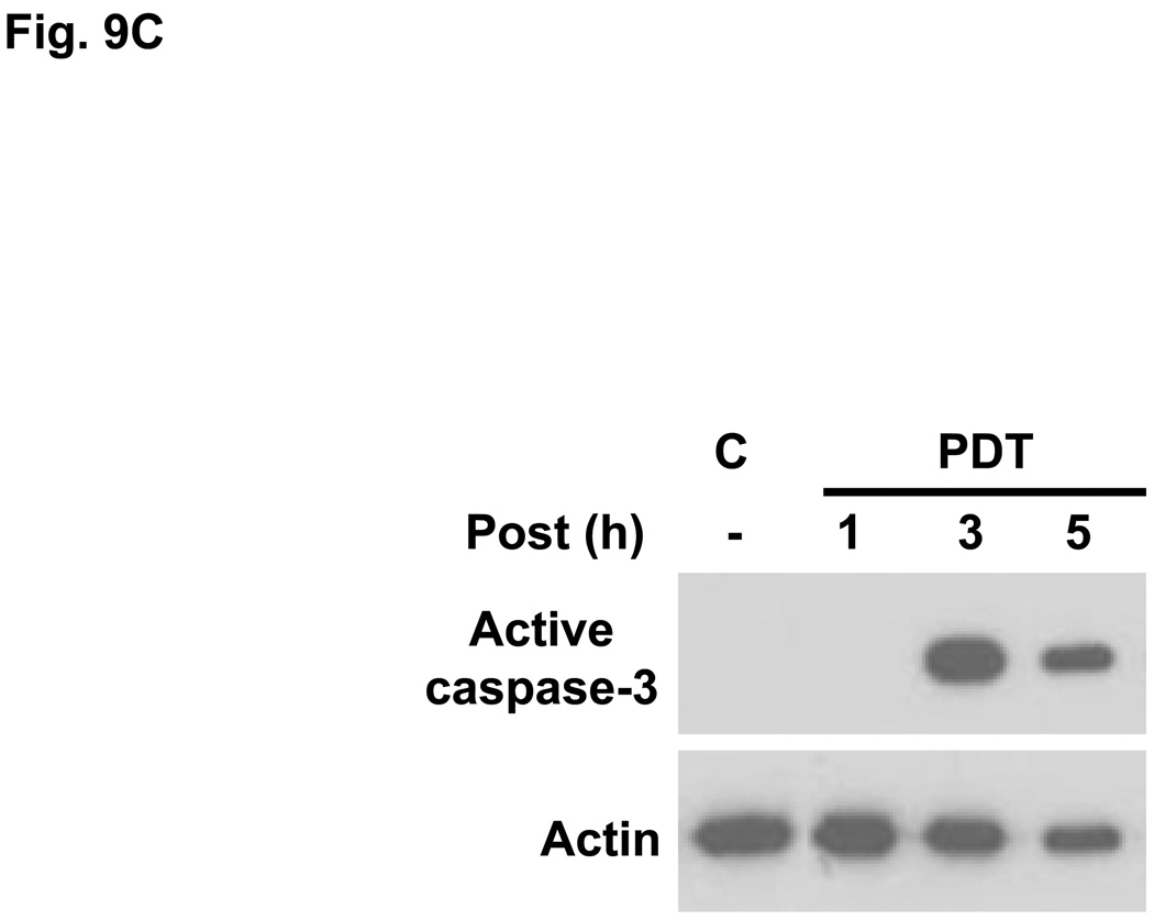 Fig. 9