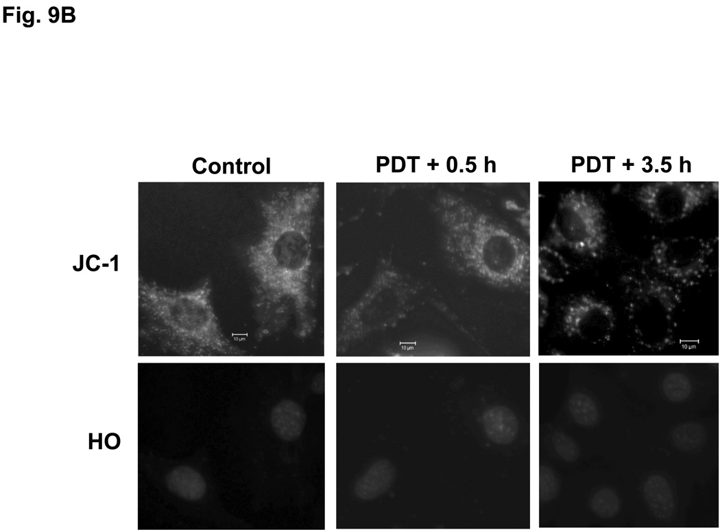 Fig. 9