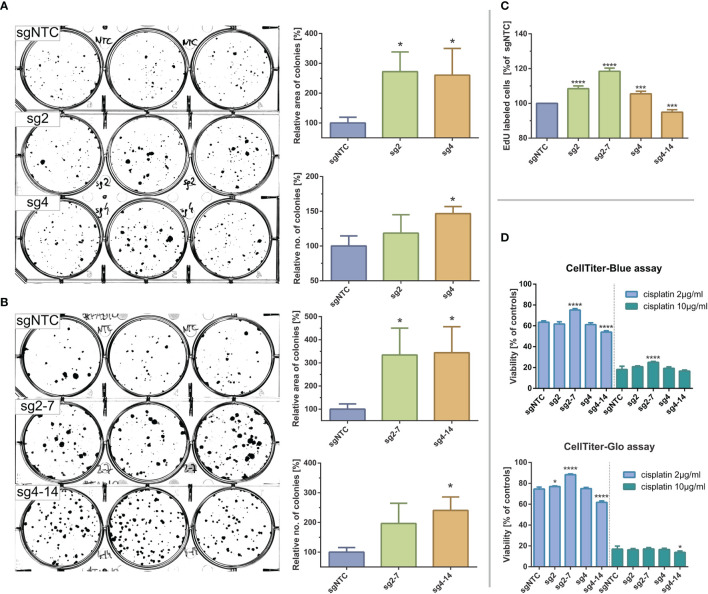 Figure 4