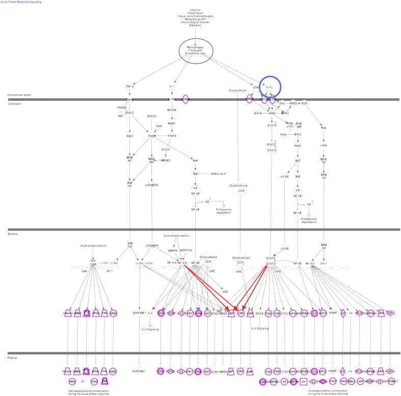 Fig. 5