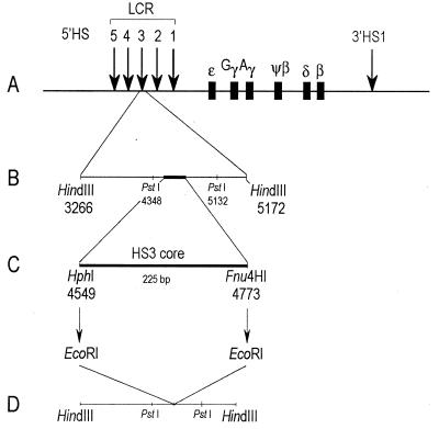 FIG. 1