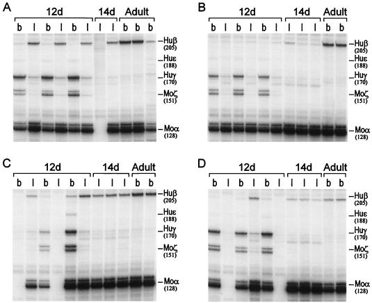 FIG. 6