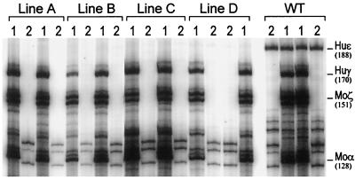 FIG. 5